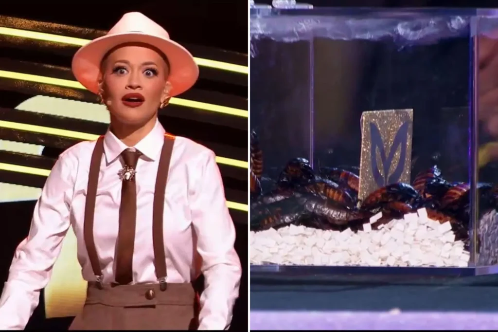 Masked Singer Fans Freaked Out by Live Bugs and Creepy Creatures in “Fear Night” Episode